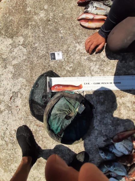 Fish Measure Picture